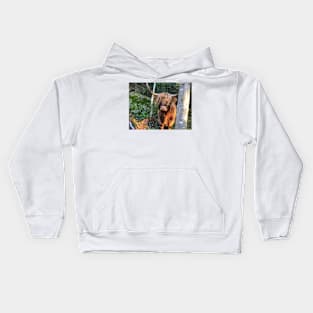 Scottish Highland Cattle Cow 2136 Kids Hoodie